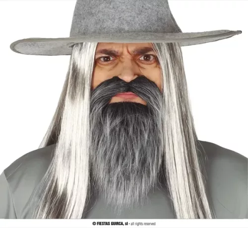 BARBE ET MOUSTACHE GRISES