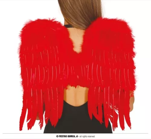 AILES ROUGES PLUMES 60x40 CMS.