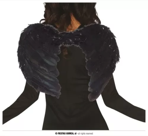 AILES NOIRES PLUMES 60x40 CMS.