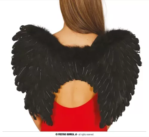 AILES NOIRES PLUMES 60x40 CMS. – Image 3