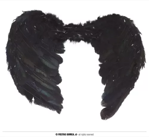 AILES NOIRES PLUMES 60x40 CMS. – Image 2