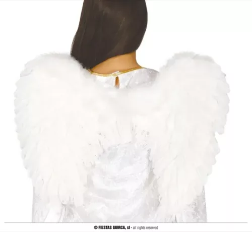 AILES D'ANGE PLUMES 60x40 CM