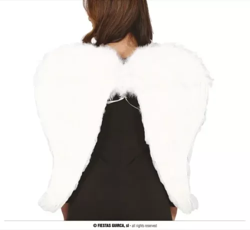 AILES BLANCHES À PLUMES 80X60 CMS