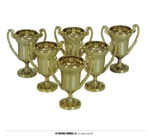 SACHET 6 TROPHÉS DE 6 CMS