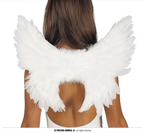 AILES PLUMES BLANCHES 55 X 45 CMS.