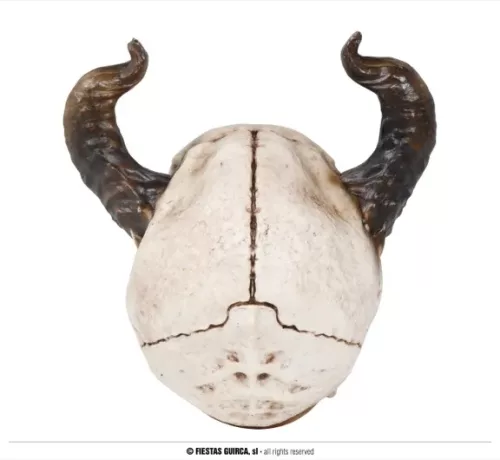 TÊTE DE MORT AVEC CORNES 20 CMS – Image 3