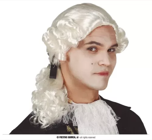 PERRUQUE DE L'EPOQUE POUR HOMME (BOÎTE)