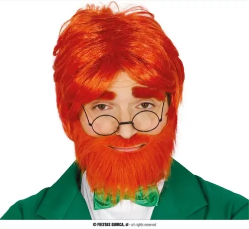 PERRUQUE  AVEC BARBE (BOÎTE)