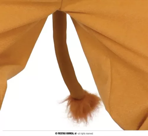 LION 10 -12 ANS – Image 5