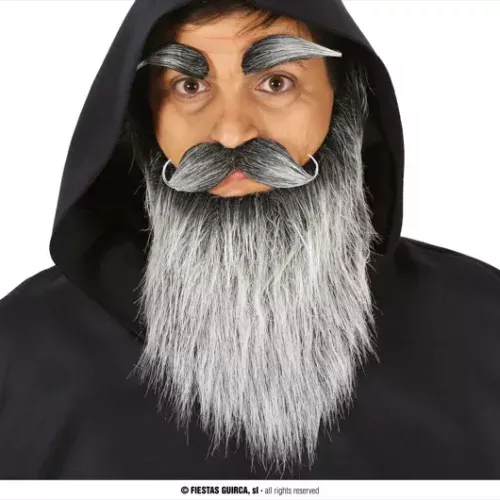 BARBE LONGUE GRISE AVEC MOUSTACHE ET SOURCILS