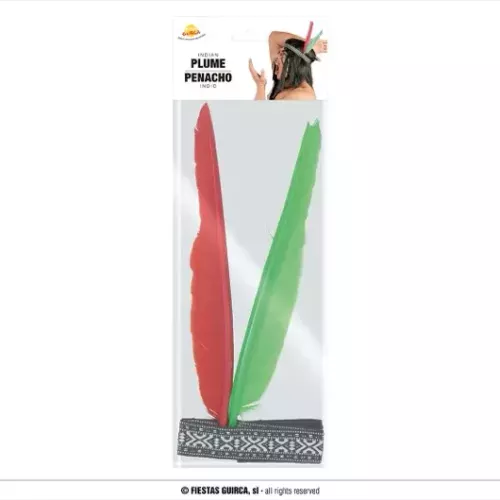 BANDEAU INDIEN