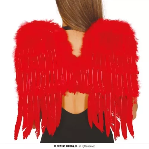 AILES ROUGES PLUMES 60x40 CMS.
