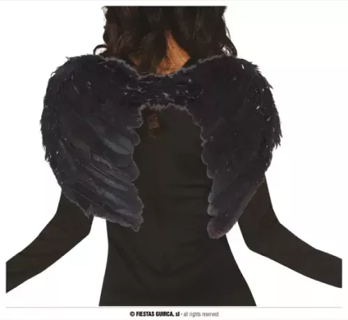AILES NOIRES PLUMES 60x40 CMS.