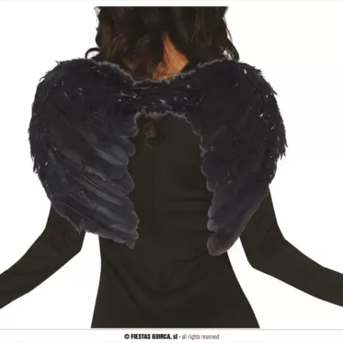 AILES NOIRES PLUMES 60x40 CMS.