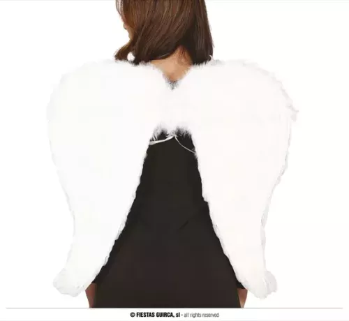 AILES BLANCHES À PLUMES 80X60 CMS