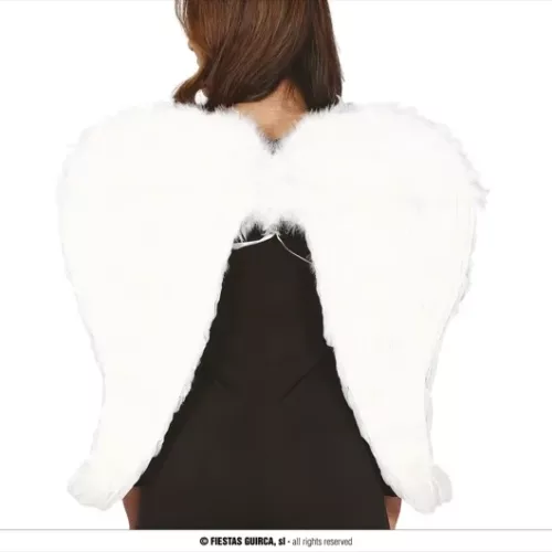 AILES BLANCHES À PLUMES 80X60 CMS