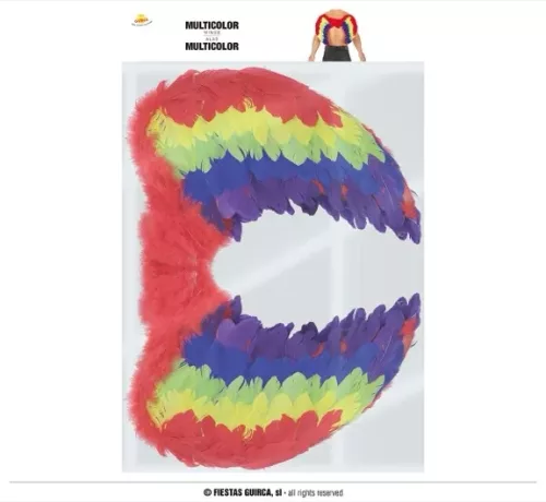AILES PLUMES MULTICOULEURS 58 X 40 CMS.