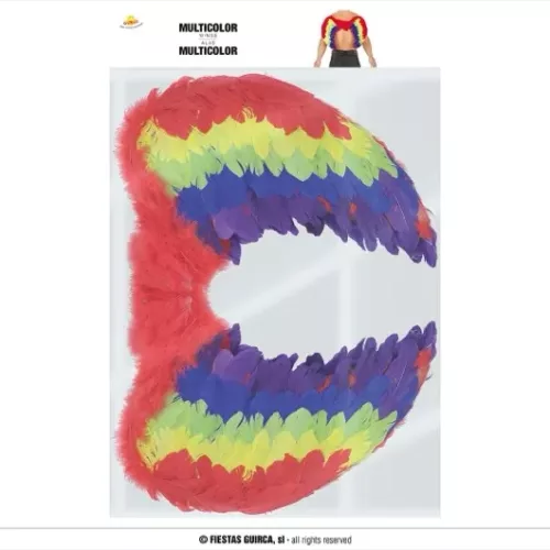 AILES PLUMES MULTICOULEURS 58 X 40 CMS.