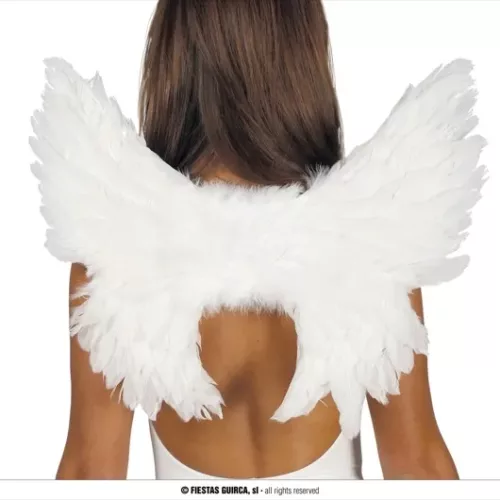 AILES PLUMES BLANCHES 55 X 45 CMS.