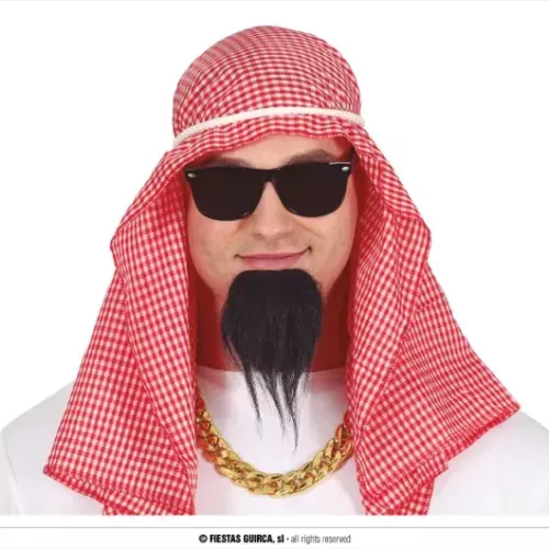 ENSEMBLE ARABE