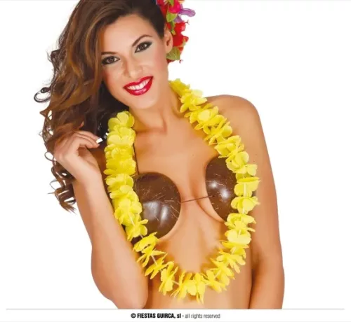COLLIER HAWAIEN JAUNE – Image 2