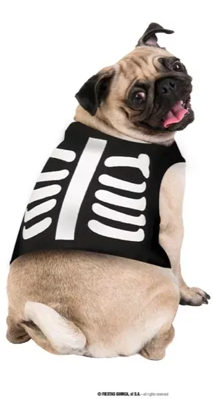 COSTUME ANIMAL SQUELETTE TAILLE S