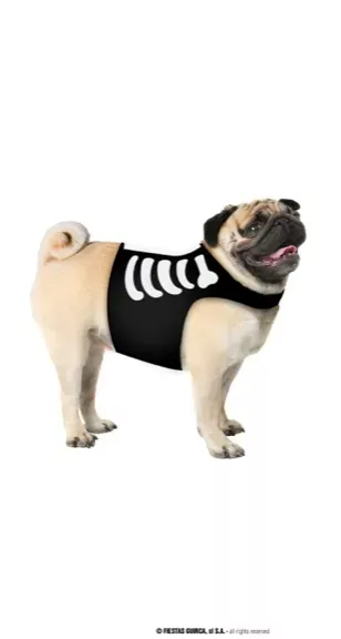 COSTUME ANIMAL SQUELETTE TAILLE S – Image 2