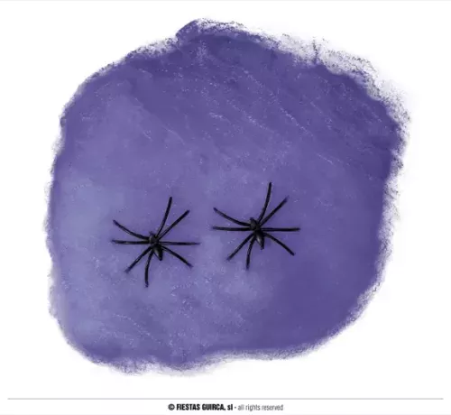 SACHET TOILE D'ARAIGNÉE VIOLETTE 60 GR
