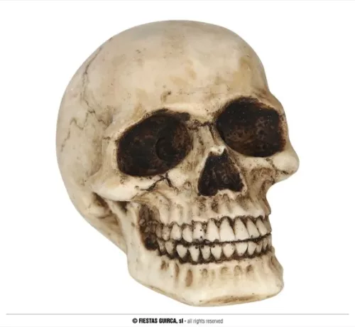 TÊTE DE MORT EN RÉSINE 8 CMS