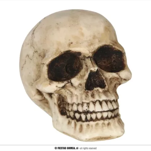 TÊTE DE MORT EN RÉSINE 8 CMS