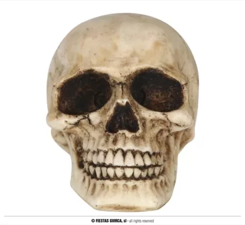 TÊTE DE MORT EN RÉSINE 8 CMS – Image 2