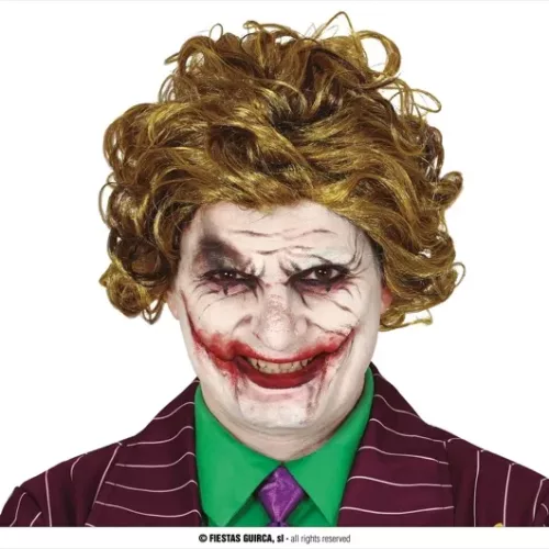 PERRUQUE LONGUE CLOWN SOURIANT AVEC BOÎTE