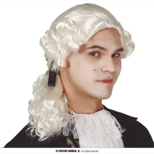 PERRUQUE DE L'EPOQUE POUR HOMME (BOÎTE)