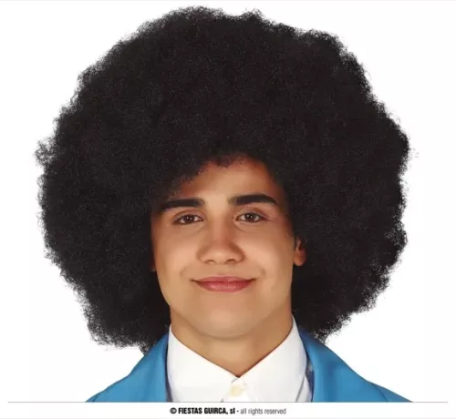 PERRUQUE AFRO (BOÎTE)