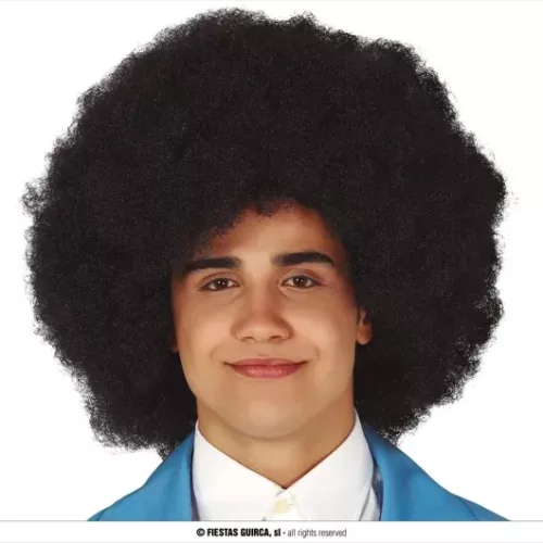 PERRUQUE AFRO (BOÎTE)