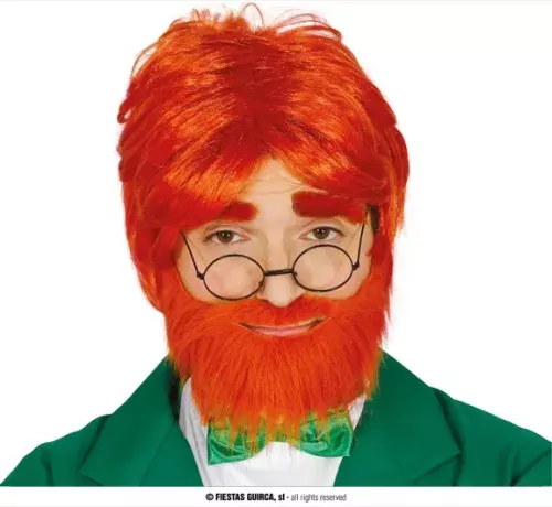 PERRUQUE  AVEC BARBE (BOÎTE)