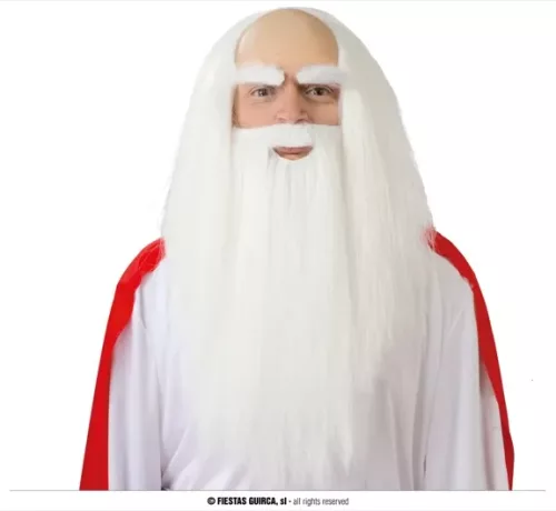 PERRUQUE & BARBE DRUIDE ( SOURCILS NON INCLUS) EN