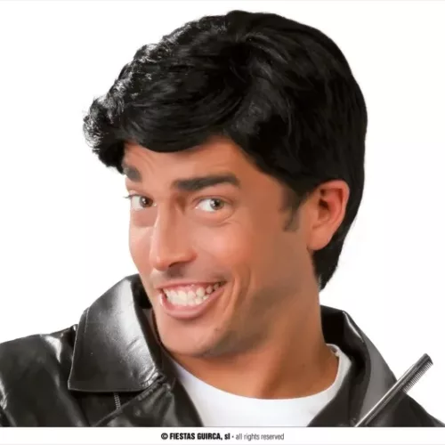 PERRUQUE HOMME NOIRE (BOÎTE)