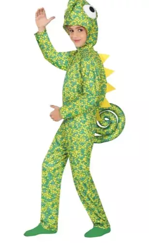 CAMELEON 5 6 ANS