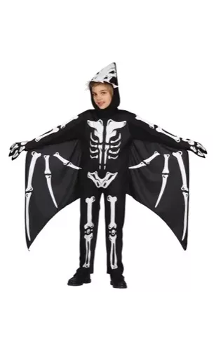 PTERODACTYLUS, ENFANT, 3 - 4 ANS