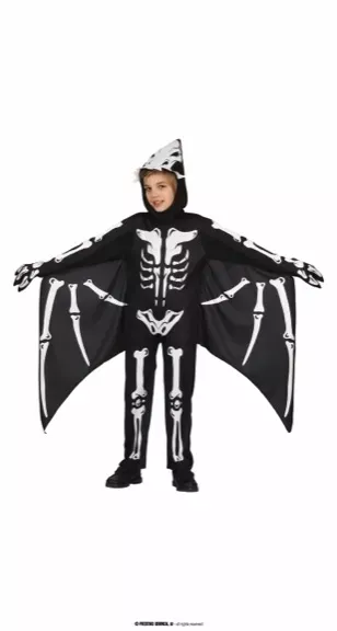 PTERODACTYLUS, ENFANT, 5 - 6 ANS – Image 2