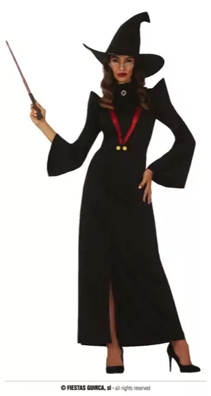 PROFESSEUR DE SORCELERIE 38 40