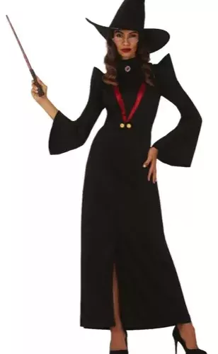 PROFESSEUR DE SORCELERIE 42 44