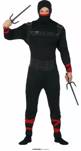 NINJA 48 50 – Image 2