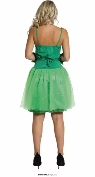 ROBE FANTAISIE TERRE VERTE ADULTE 42 44 L – Image 3