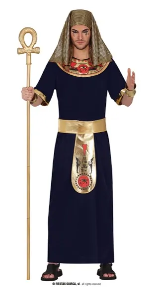 EGYPTIAN, ADULTE, 48 – 50 (M)