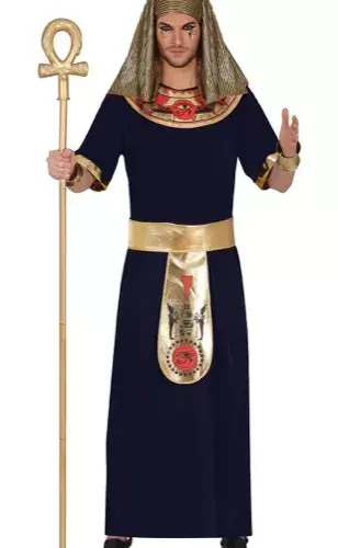 EGYPTIAN, ADULTE, 52 – 54 (L)