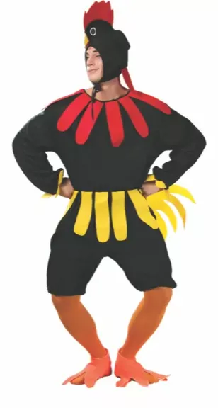 COQ – Image 2