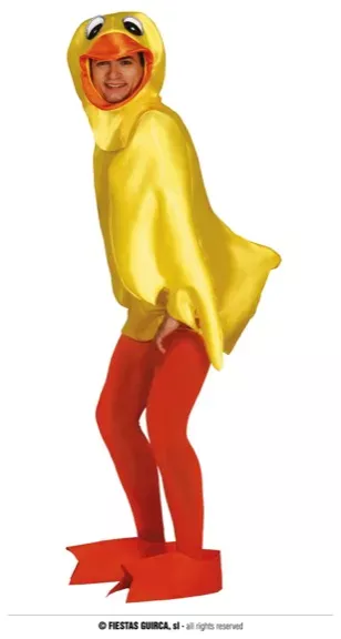 CANARD TAILLE L