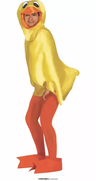 CANARD TAILLE L – Image 2